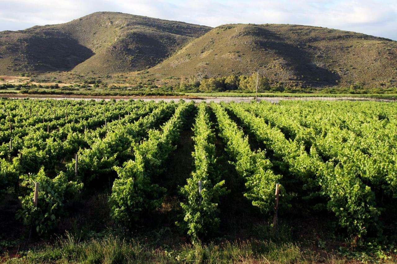 Tanagra Wine & Guestfarm Apartment McGregor Exterior photo